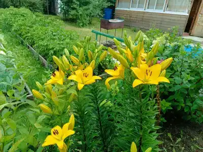 Эко-дом у реки - 3