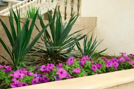 Пансионат Зенит - 51