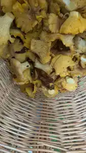 Капитанский Остров 57 - 5