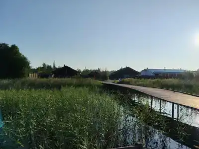 Freegreen cottages - 37