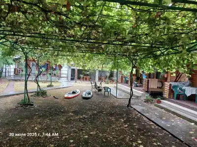 Амарант - 13