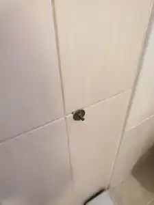 Kara Family Apart - 44