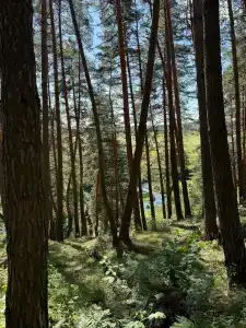 Wish Home Лесной Берег в Мясоедово - 98