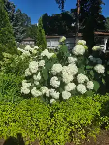 Президент отель - 78