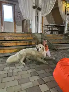Лесные домики - 32