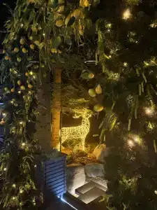 Magic Forest - 10