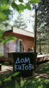 Дом Китов - 0