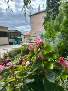 Алмаз - 43