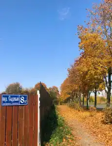 Царедворье - 20