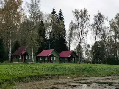 Романов дача - 50