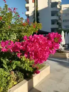 Club Sun Heaven - 47