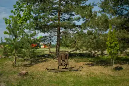 Березовый хутор - 20