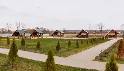Своя Деревня - 3