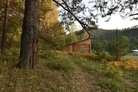 Ологужан - 11