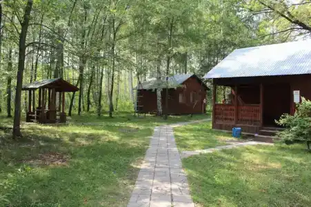 Искра - 17
