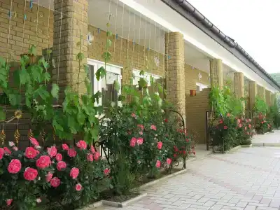 Александрия