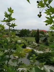 Жемчужина - 12