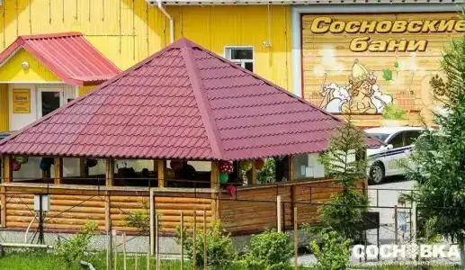 Сосновка - 8