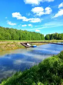 Дубровята - 2