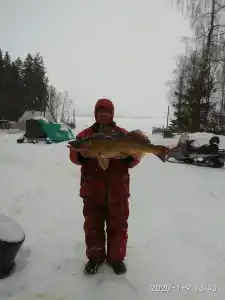 Ковжа - 19