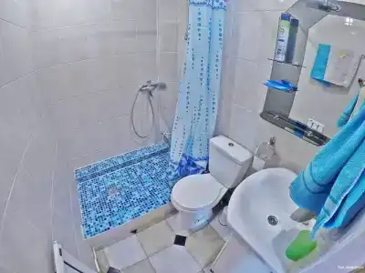 Три Дельфина - 41