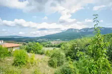 Усадьба Кутлер - 50