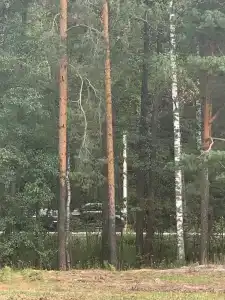 Круиз Вилладж - 74