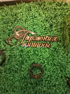 Гармония тишины - 31