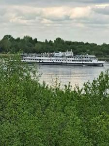 Матрешки - 30