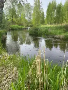 RentalSPb Laakso Красное Озеро - 25