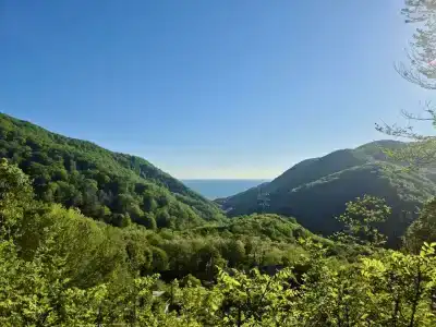 В гостях у Риты - 2