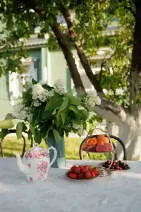 Сирин дом - 72