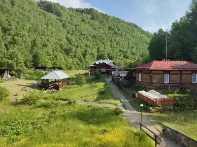 Шумиха - 6