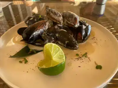 Клубный-дом-янтарь - 55