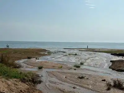 Морской Бриз - 50