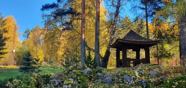 Авиаретро - 65