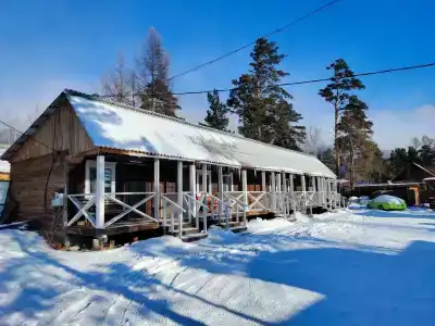 Капибара - 46