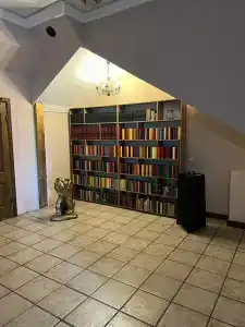 Золотой Дракон - 6
