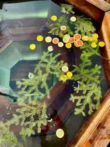 Баглачевские дачи - 54