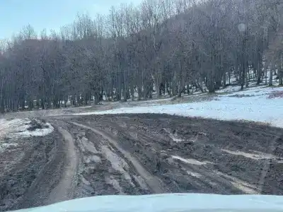Кук-Караук - 43