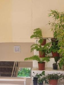 Единство - 46