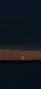 Колокольцево - 20