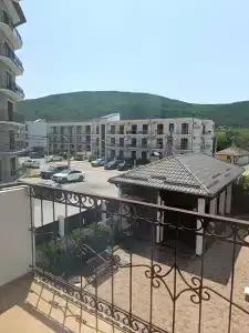 Платан - 49