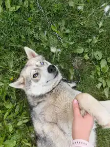 Кохтусельга - 23