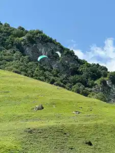 Флайчегем - 40