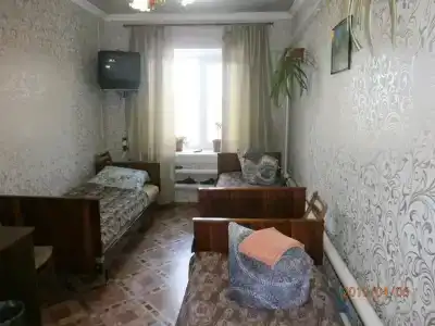 Фиалка - 6