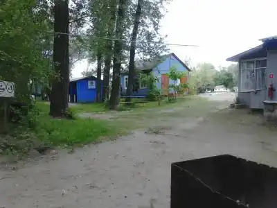 Бодрость - 56