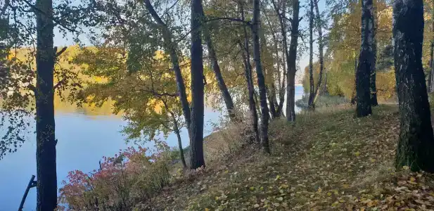 Планерная - 88