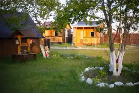 Фламинго - 23