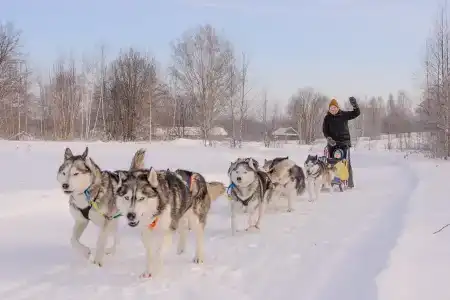 Северная надежда - 37
